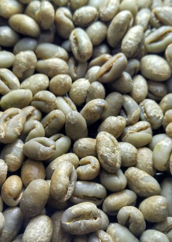 قهوه سبز چیست و چه خواصی دارد؟