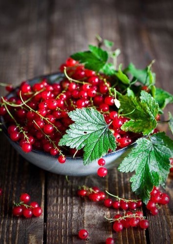 مواردی درباره ی زرشک که نمیدانستید !!